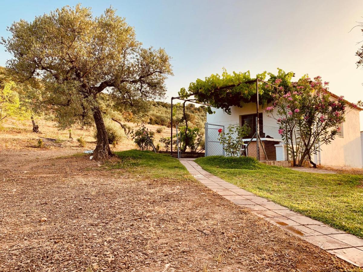 Casa Rural Arroyo Marco Guadalcanal Εξωτερικό φωτογραφία